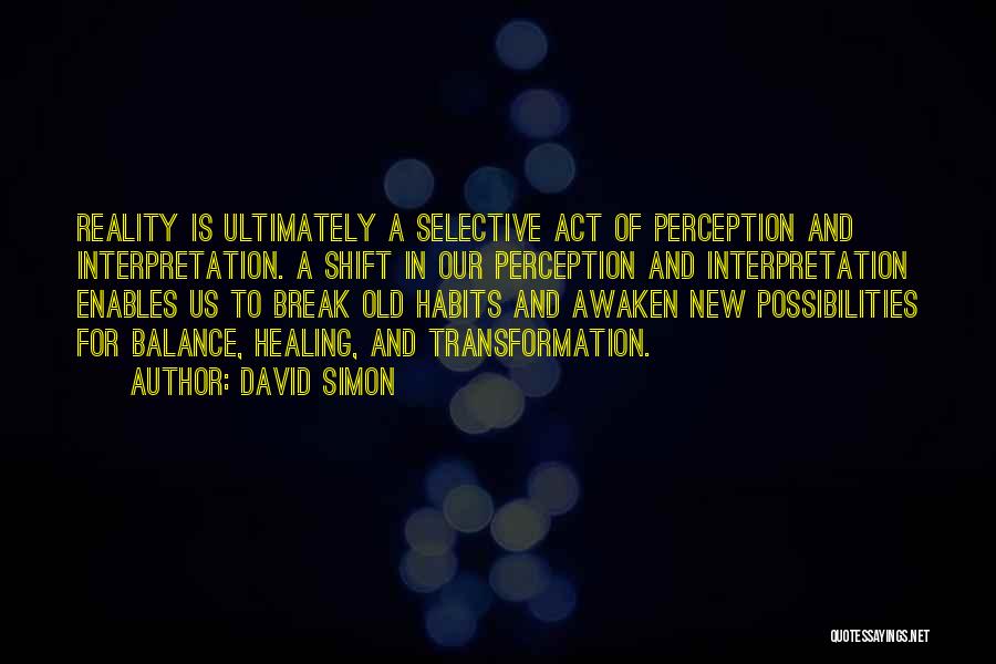 Selective Perception Quotes By David Simon