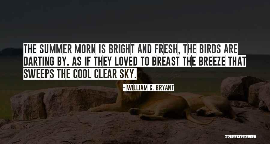 Selectors In Selenium Quotes By William C. Bryant Selectors In Selenium Quotes By William C. Bryant