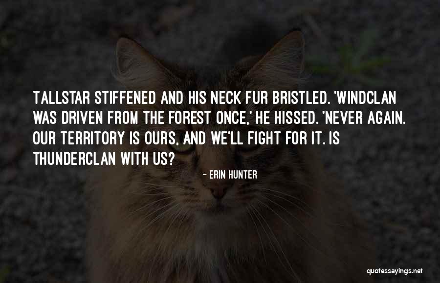 Seleshi Bekele Quotes By Erin Hunter Seleshi Bekele Quotes By Erin Hunter