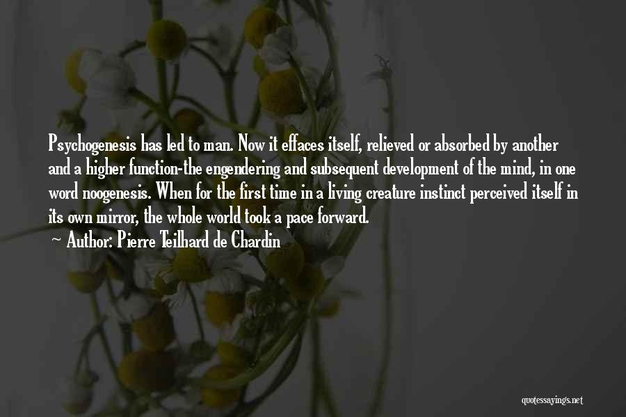 Self Absorbed Man Quotes By Pierre Teilhard De Chardin