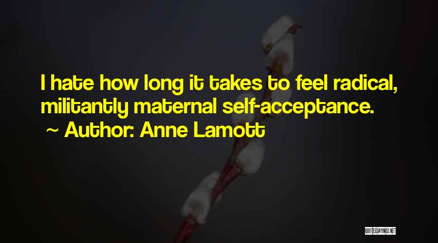 Self Acceptance Quotes By Anne Lamott