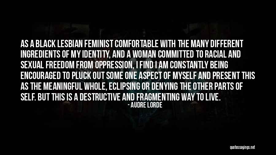 Self Acceptance Quotes By Audre Lorde Self Acceptance Quotes By Audre Lorde