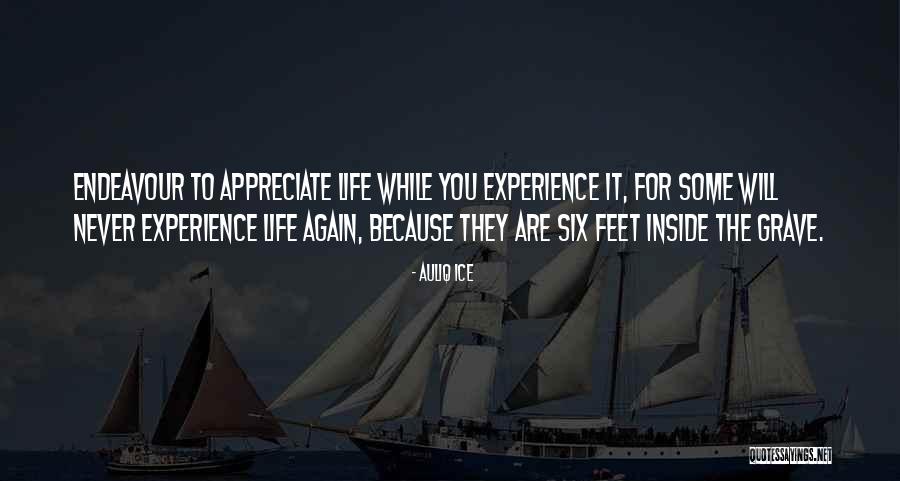 Self Acceptance Quotes By Auliq Ice Self Acceptance Quotes By Auliq Ice