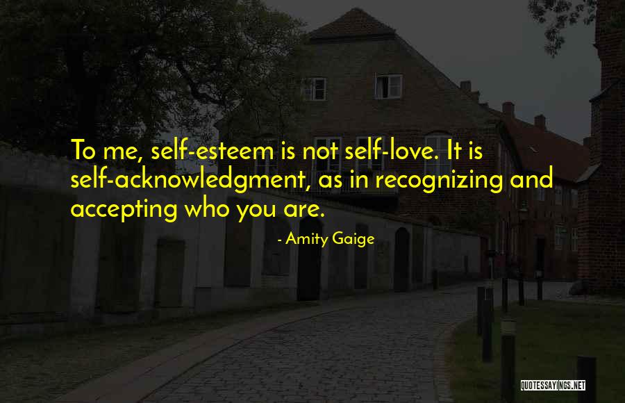 Self Acknowledgment Quotes By Amity Gaige