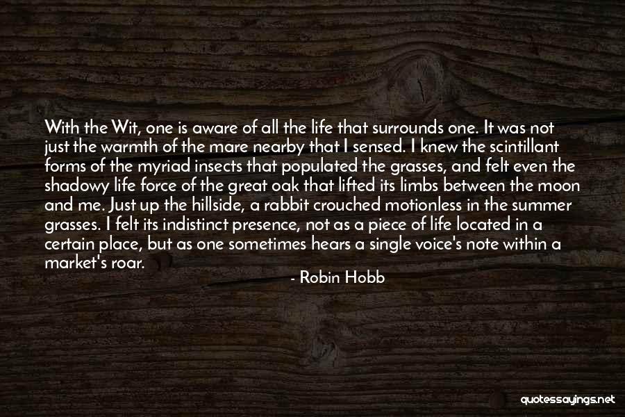 Self Acknowledgment Quotes By Robin Hobb