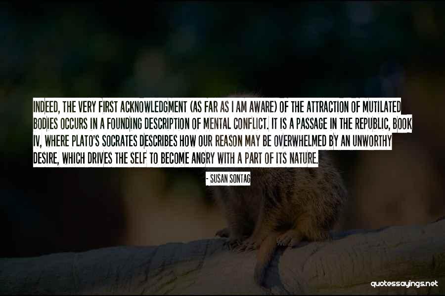 Self Acknowledgment Quotes By Susan Sontag