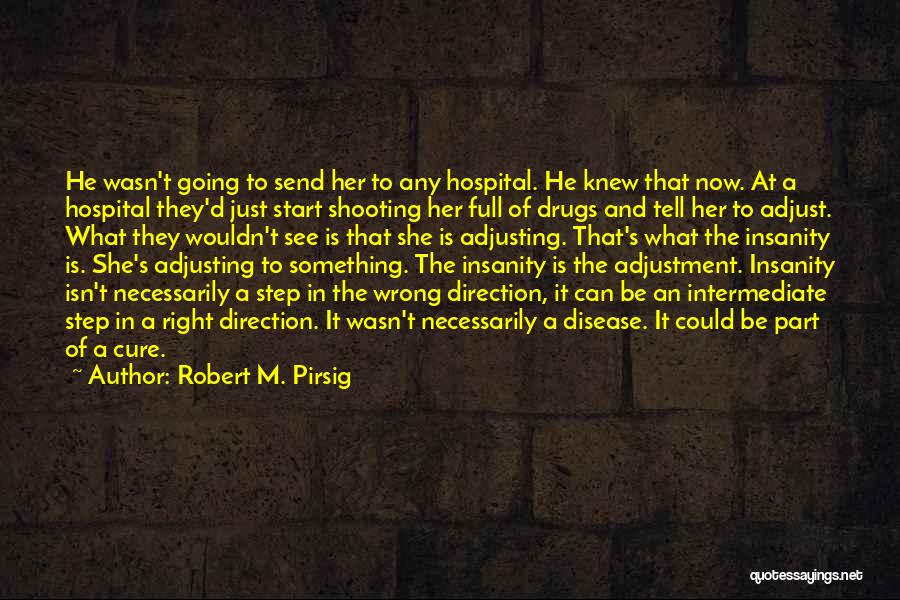 Self Adjustment Quotes By Robert M. Pirsig