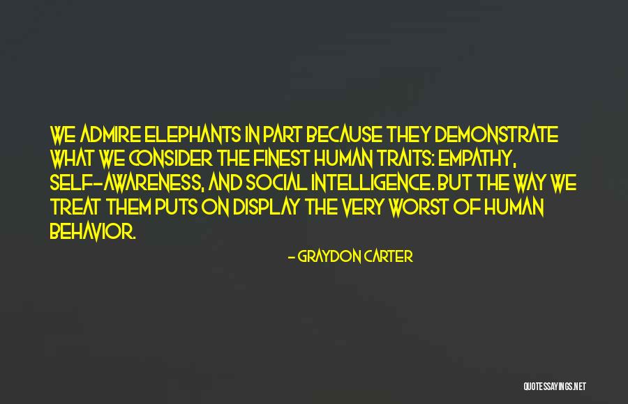 Self Admire Quotes By Graydon Carter