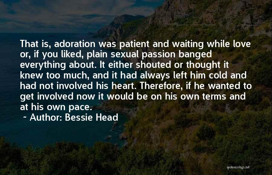 Self Adoration Quotes By Bessie Head