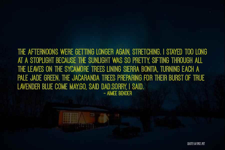 Self Aggrandizement Dictionary Quotes By Aimee Bender Self Aggrandizement Dictionary Quotes By Aimee Bender