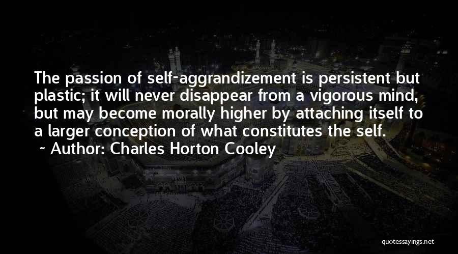 Self Aggrandizement Quotes By Charles Horton Cooley