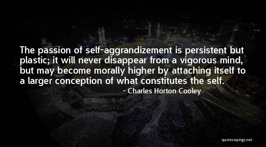 Self Aggrandizement Quotes By Charles Horton Cooley