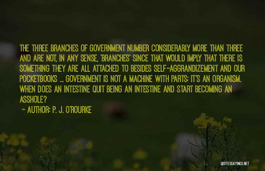 Self Aggrandizement Quotes By P. J. O'Rourke Self Aggrandizement Quotes By P. J. O'Rourke
