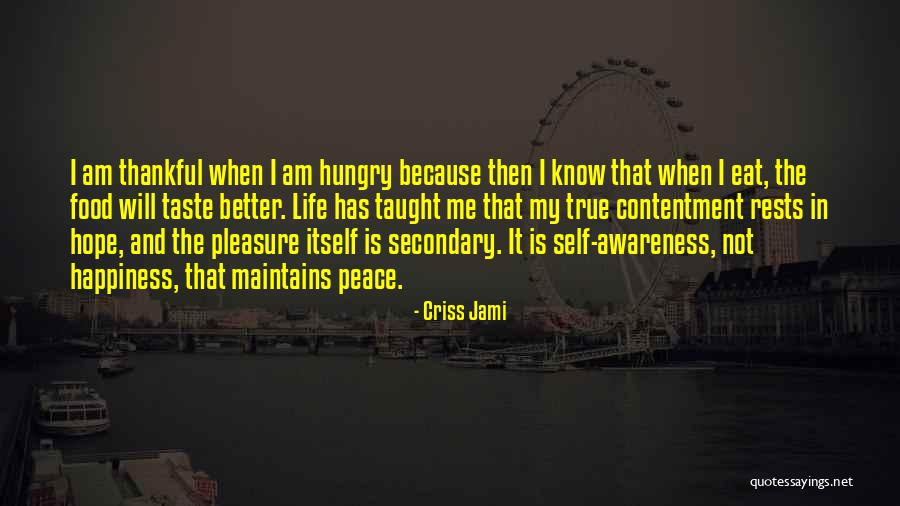 Self And Happiness Quotes By Criss Jami