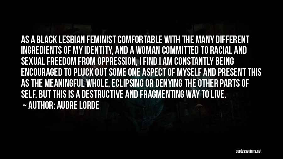 Self And Identity Quotes By Audre Lorde