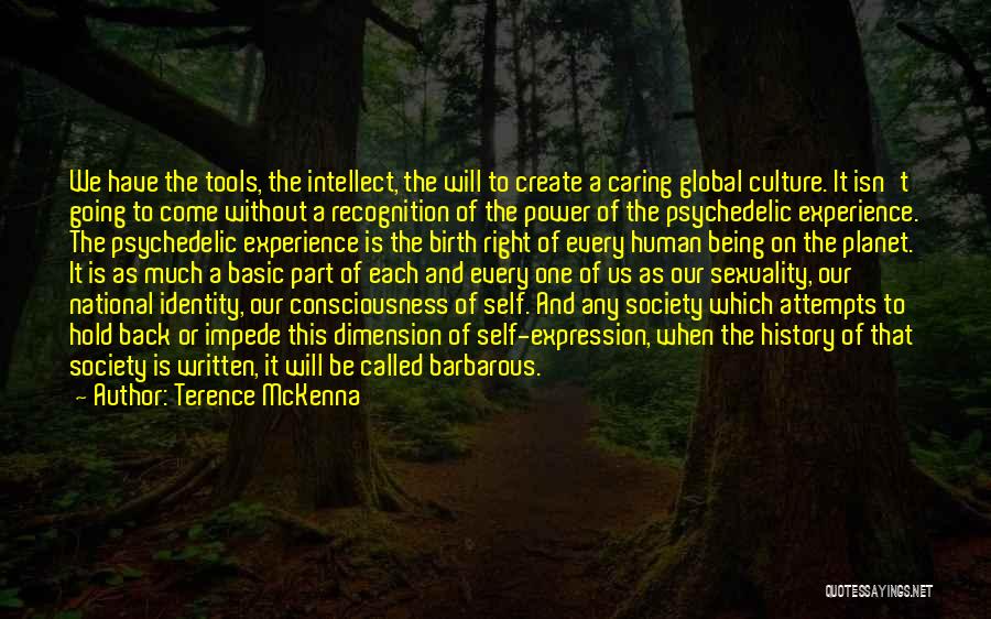 Self And Identity Quotes By Terence McKenna