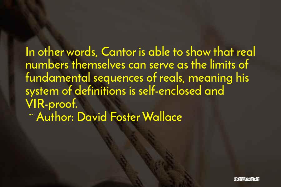 Self And Other Quotes By David Foster Wallace