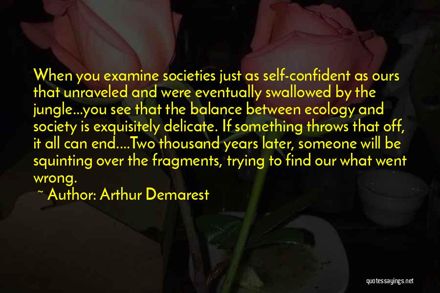 Self And Society Quotes By Arthur Demarest