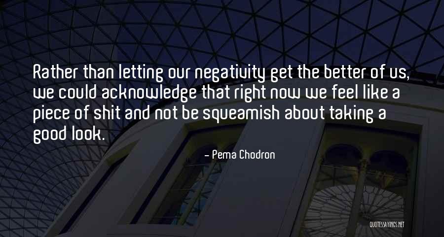 Self Assessment Quotes By Pema Chodron