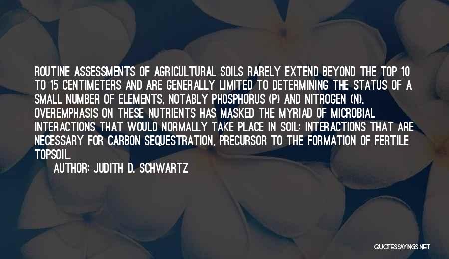 Self Assessments Quotes By Judith D. Schwartz