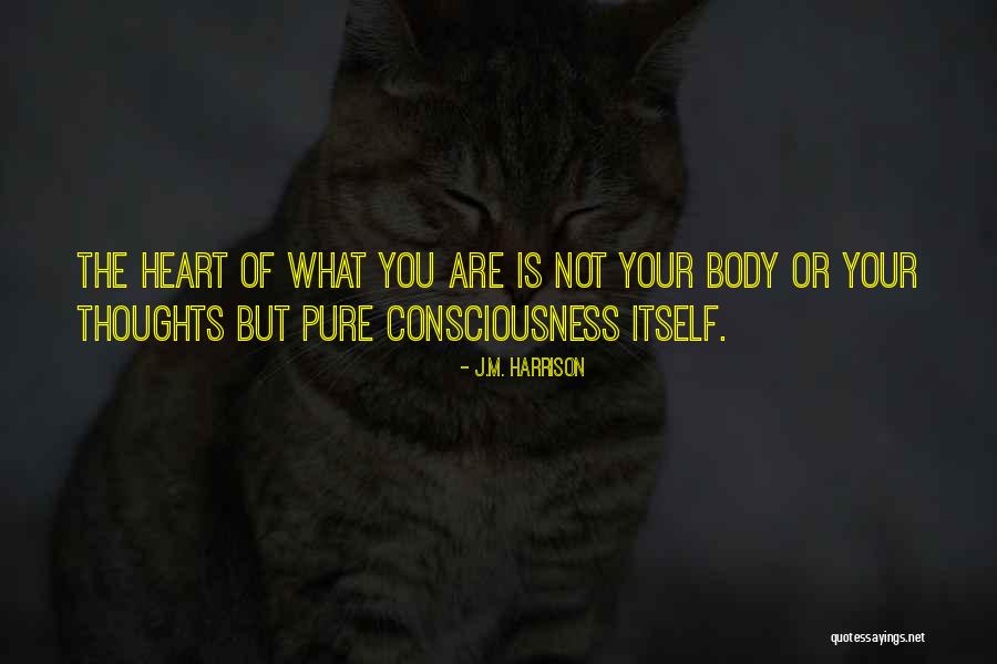 Self Awakening Quotes By J.M. Harrison Self Awakening Quotes By J.M. Harrison