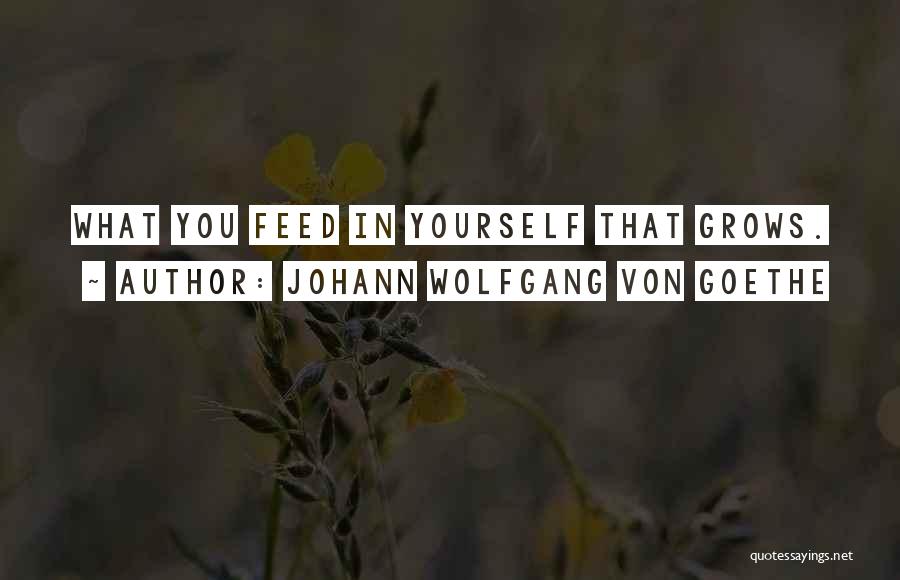 Self Awareness Psychology Quotes By Johann Wolfgang Von Goethe