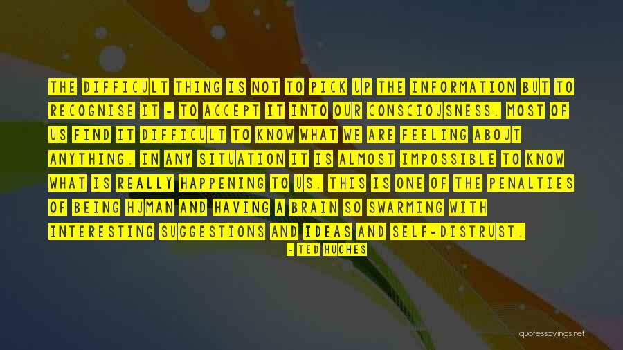 Self Awareness Psychology Quotes By Ted Hughes Self Awareness Psychology Quotes By Ted Hughes