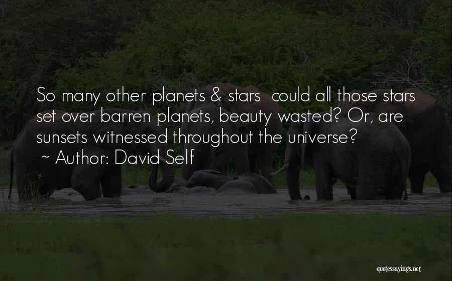 Self Beauty Quotes By David Self