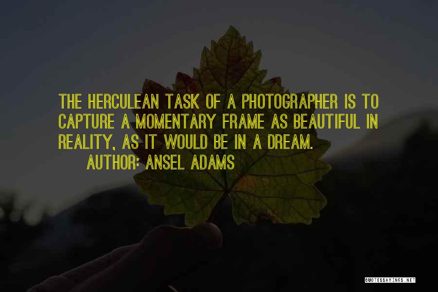 Self Capture Quotes By Ansel Adams