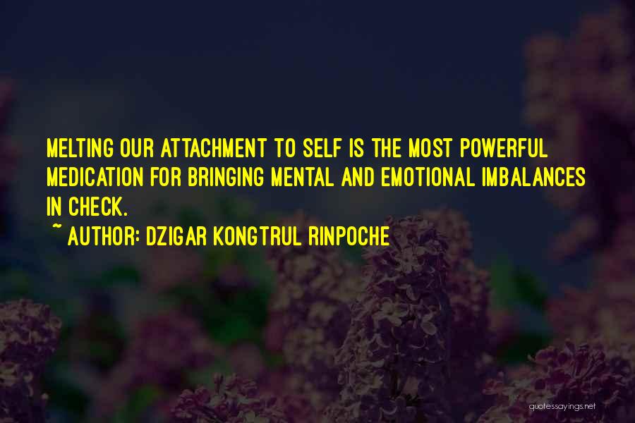 Self Check Quotes By Dzigar Kongtrul Rinpoche