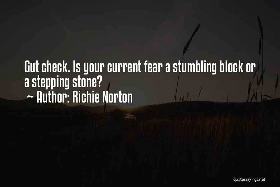 Self Check Quotes By Richie Norton