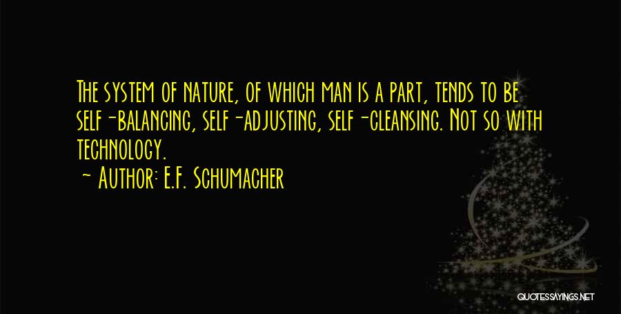 Self Cleansing Quotes By E.F. Schumacher