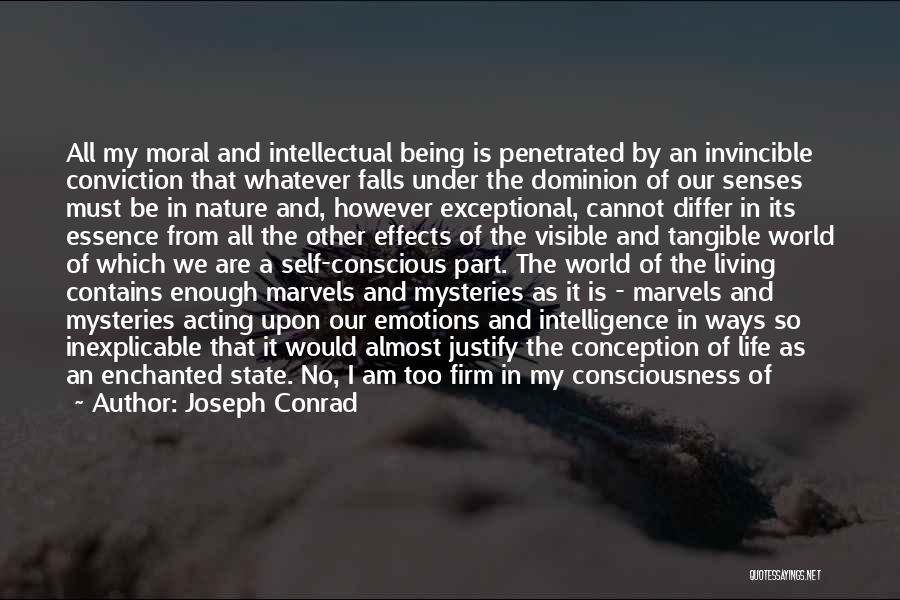 Self Conception Quotes By Joseph Conrad