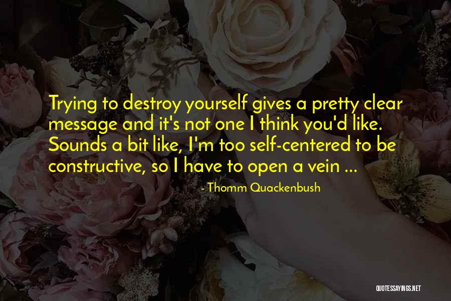 Self Constructive Quotes By Thomm Quackenbush