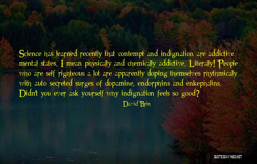Self-contempt Quotes By David Brin Self-contempt Quotes By David Brin