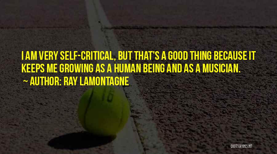 Self Critical Quotes By Ray Lamontagne