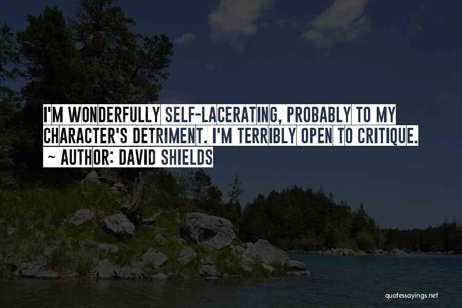 Self Critique Quotes By David Shields