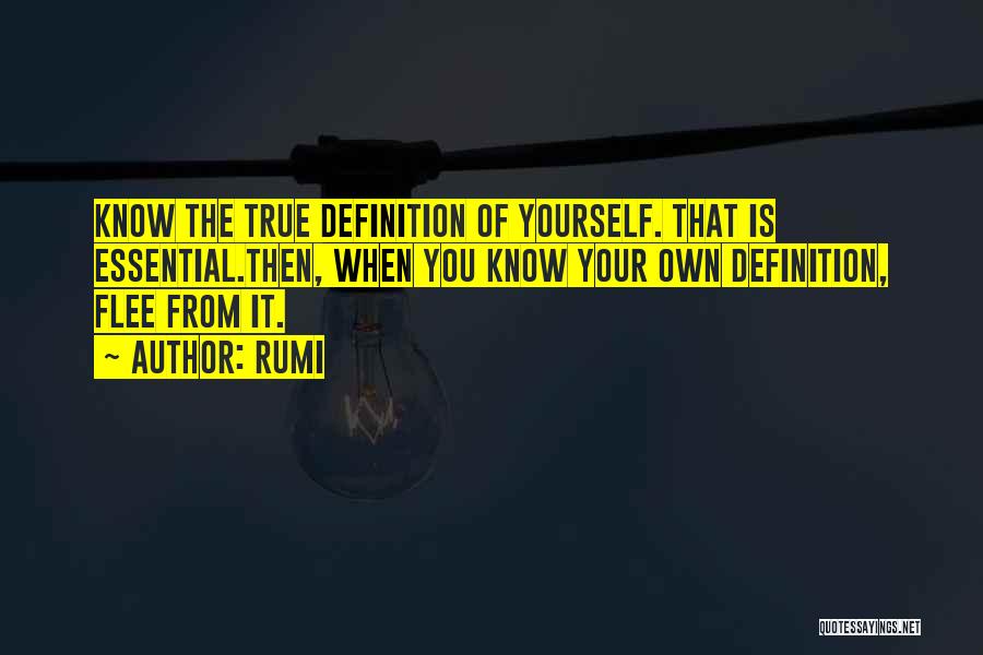 Self Definition Quotes By Rumi