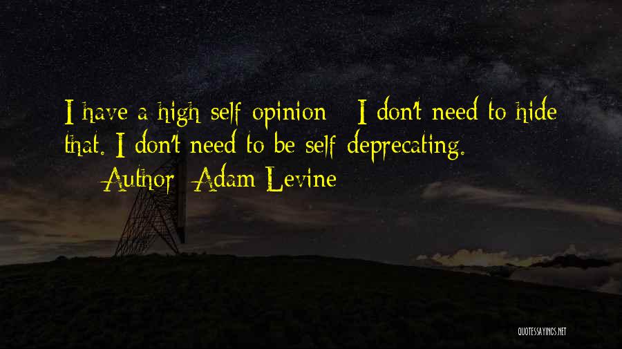 Self Deprecating Quotes By Adam Levine