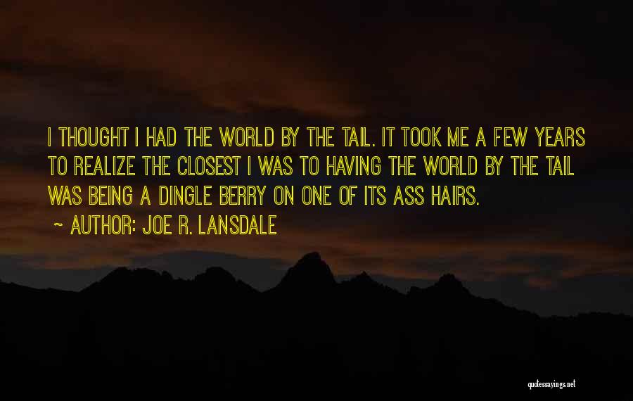 Self Deprecating Quotes By Joe R. Lansdale