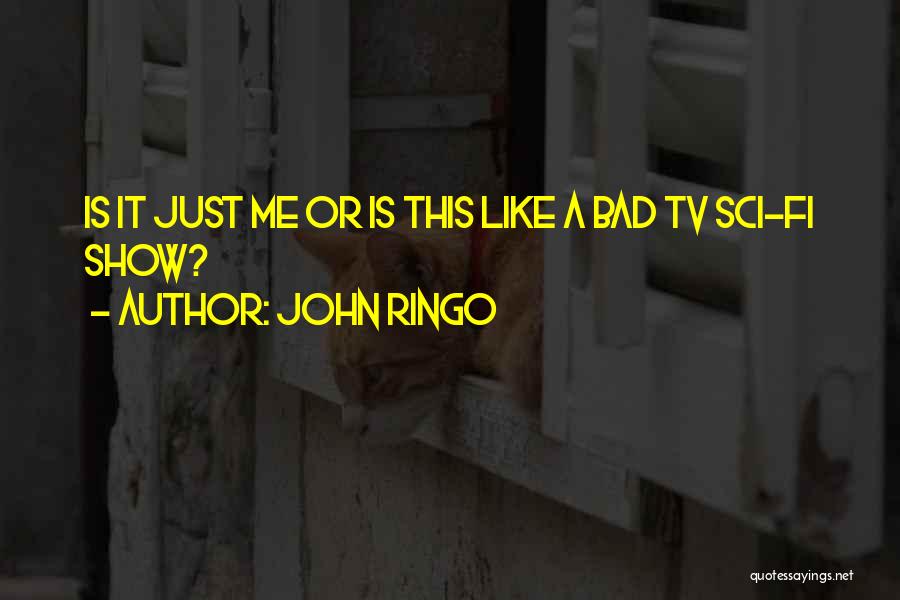 Self Deprecation Quotes By John Ringo