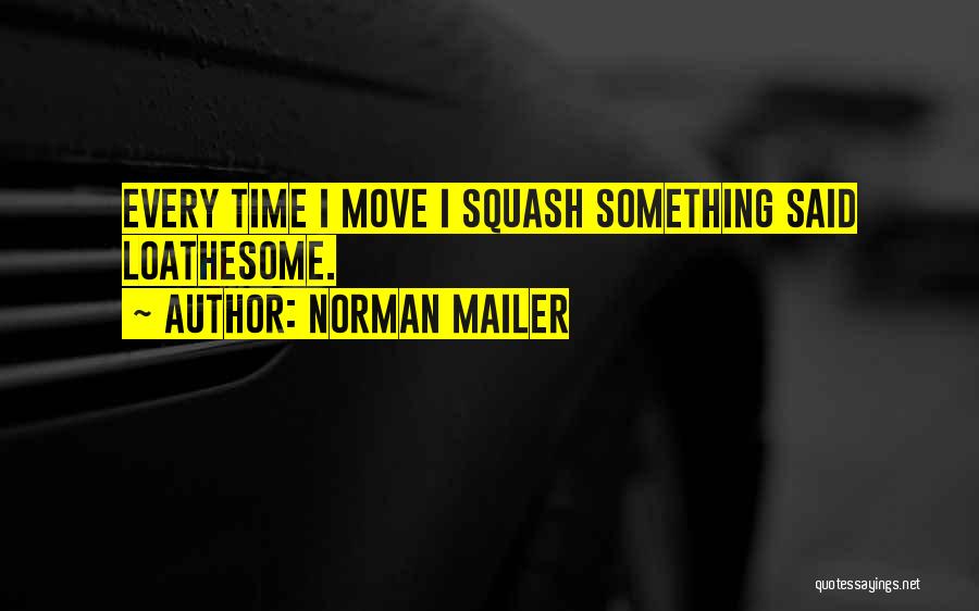 Self Deprecation Quotes By Norman Mailer