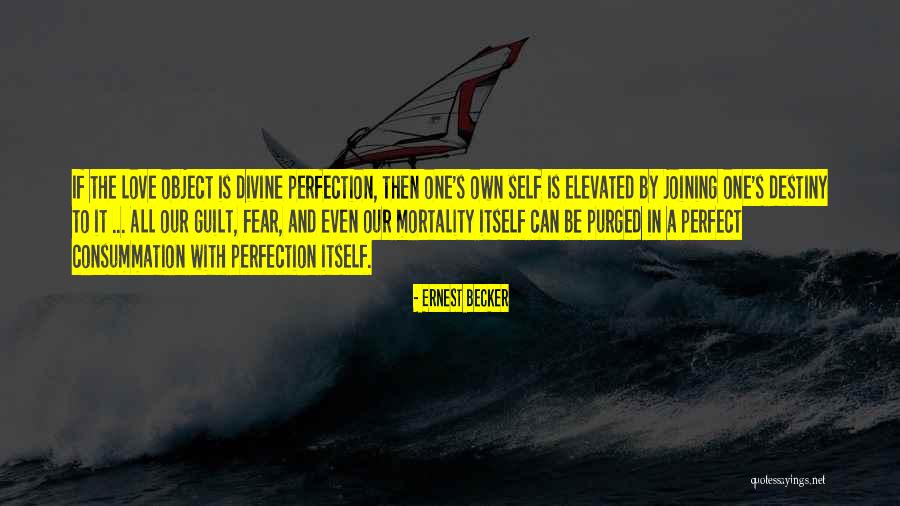 Self Destiny Quotes By Ernest Becker Self Destiny Quotes By Ernest Becker
