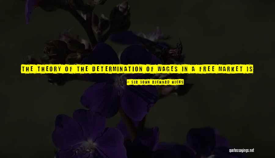 Self Determination Theory Quotes By Sir John Richard Hicks Self Determination Theory Quotes By Sir John Richard Hicks