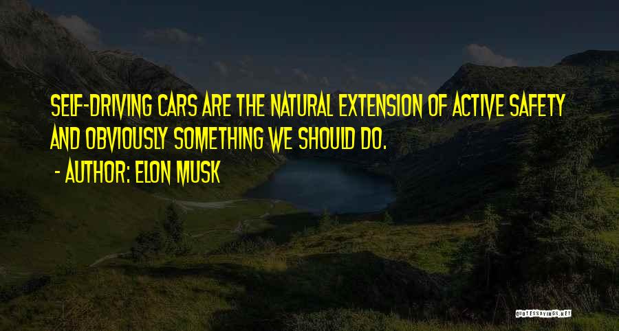 Self Driving Cars Quotes By Elon Musk