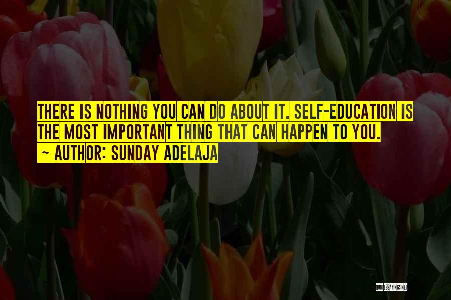 Self Education Quotes By Sunday Adelaja