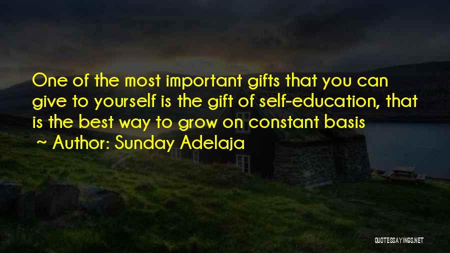 Self Education Quotes By Sunday Adelaja