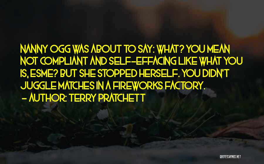 Self Effacing Quotes By Terry Pratchett