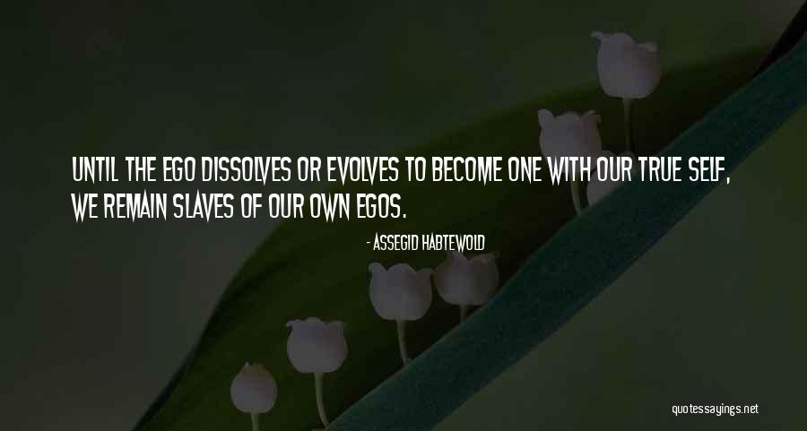 Self Ego Quotes By Assegid Habtewold Self Ego Quotes By Assegid Habtewold