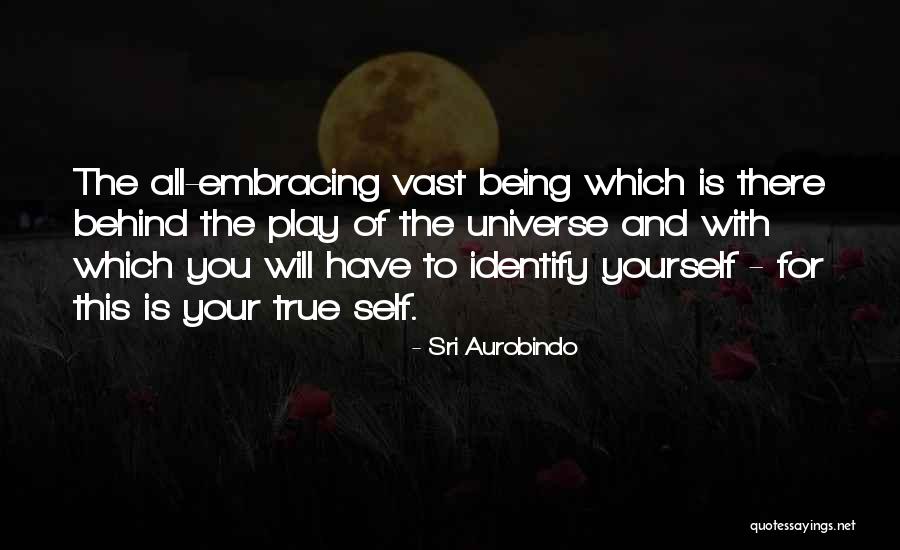 Self Embracing Quotes By Sri Aurobindo Self Embracing Quotes By Sri Aurobindo